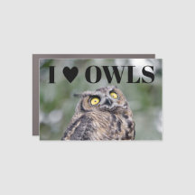 I Love Owls Car Magnet
