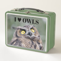 I Love Owls Lunchbox