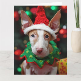 Ibizan Hound Elf Puppy Cartão de Natal