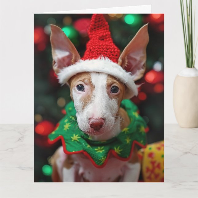 Ibizan Hound Elf Puppy Cartão de Natal (Frente)