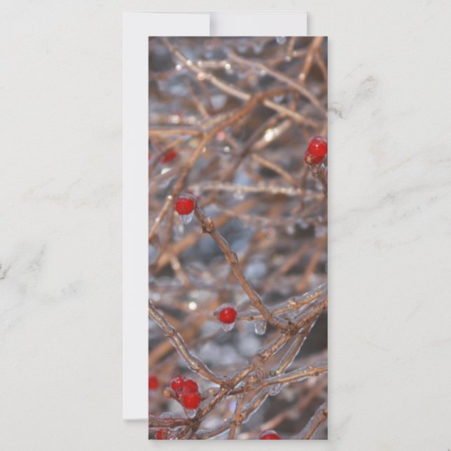 Ice Berries (Frente)