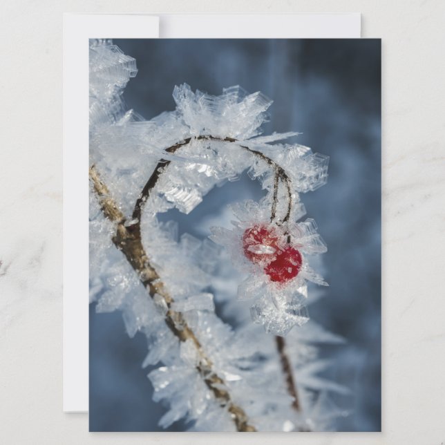 Ice Berries (Frente)