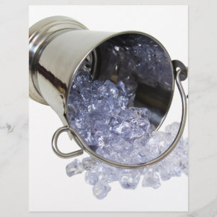IceBucket060709