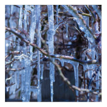 Ícicles em Ramificações Arte de Parede Acrílica