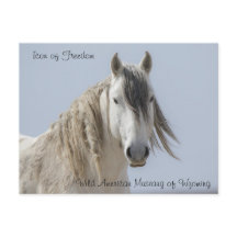 Ícone da liberdade - Cartão postal