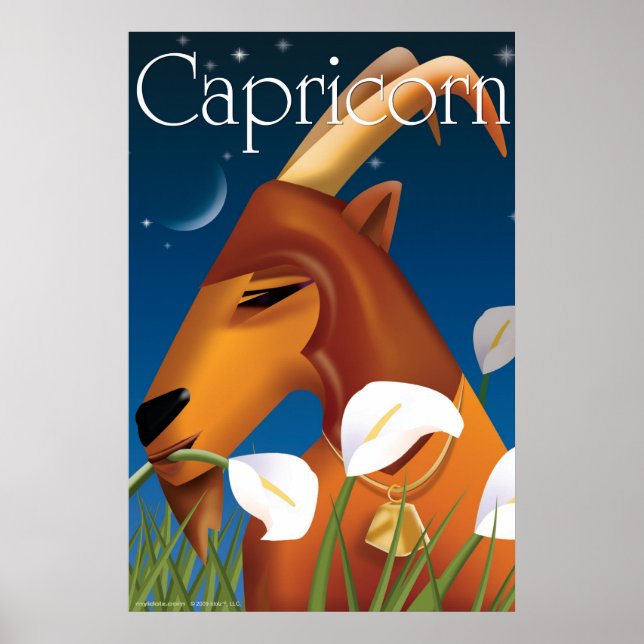 Idolz Capricorn Poster (Frente)