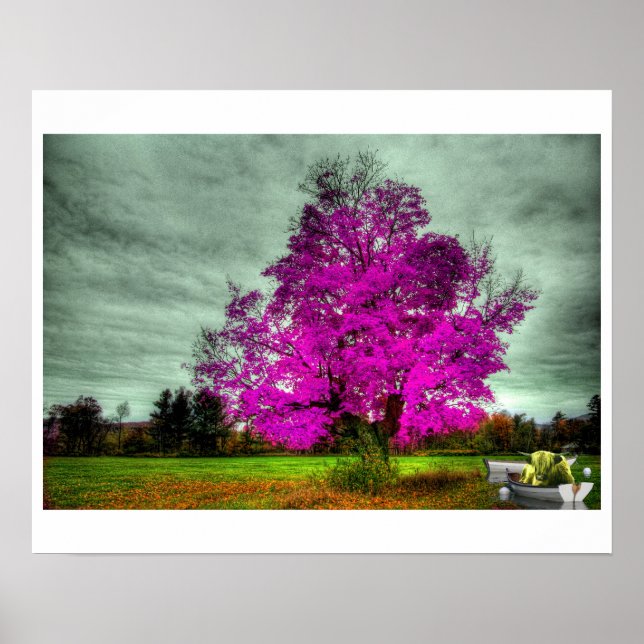 If God Played Dice with the Universe Poster (Frente)