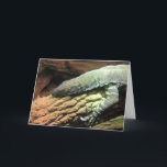 Iguana engraçada, sobre o cartão de aniversário do<br><div class="desc">Iguana engraçada,  sobre o cartão de aniversário do monte</div>
