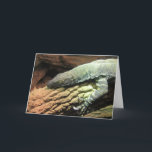 Iguana engraçada, sobre o cartão de aniversário do<br><div class="desc">Iguana engraçada,  sobre o cartão de aniversário do monte</div>
