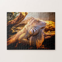 Iguana Head Close-up, Quebra-cabeça do serrote