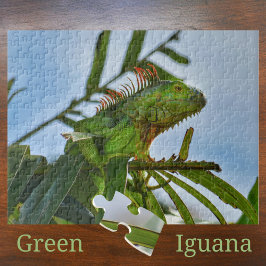 Iguana Verde numa Árvore de Palmeira Quebra-Cabeça