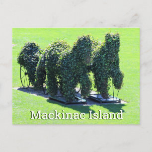 Ilha Mackinac Michigan Cartão Postal