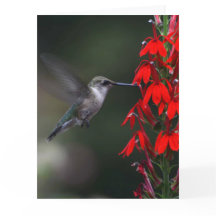 Ilumine alguém dia com este cartão bonito!!