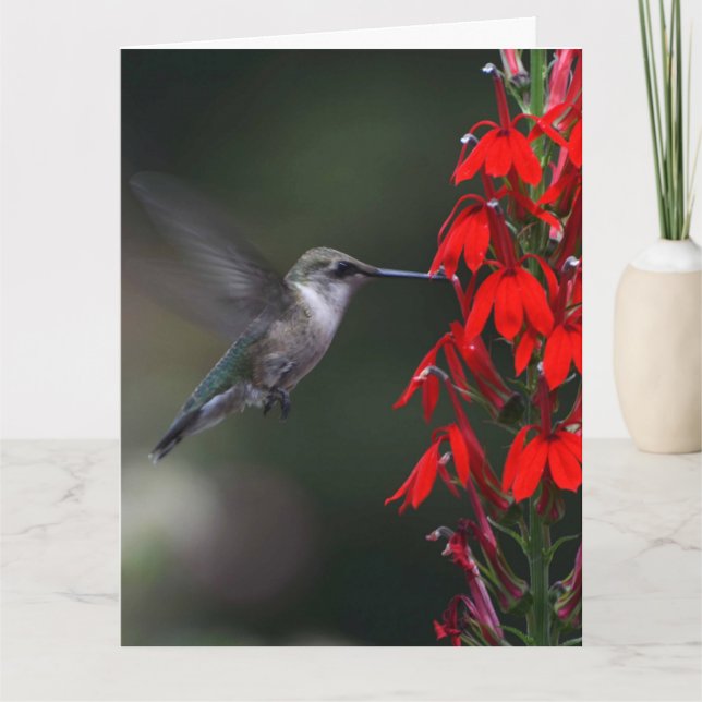 Ilumine alguém dia com este cartão bonito!! (Frente)