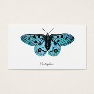 Ilustração azul da borboleta da cerceta do vinta