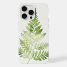 Ilustração Botânica de Fern Verde Minimalista