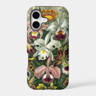 Ilustração Botânica de Orquídeas Vintage 1865
