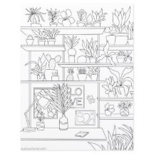 Ilustração corante de plantas de casas planas