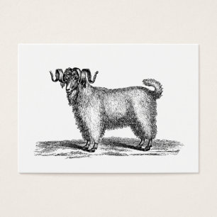 Ilustração da cabra do angora do vintage - cabra