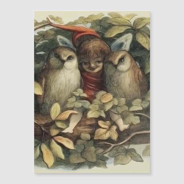 Ilustração da Natureza de Corujas e Fadas Elficas (Frente)