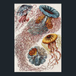 Ilustração da vida marinha - Ernst Haeckel Poster<br><div class="desc">Discomedusae-Scheibenquallen de Kunstformen der Nature (1904) por zoólogo alemão, naturalista, professor e biólogo marinho Ernst Haeckel (1843-1919). Original da Biblioteca do Congresso. As formas geométricas e naturais, capturadas com excepcional precisão.</div>