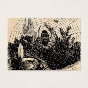 Ilustração da Web de aranha dos 1800s do vintage