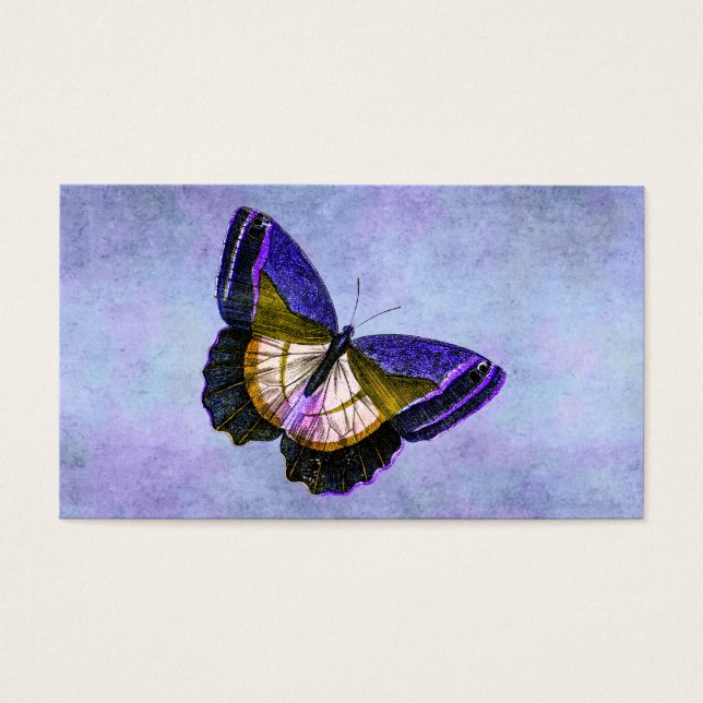 Ilustração de borboleta Dourada e roxa-do-campo (Frente)