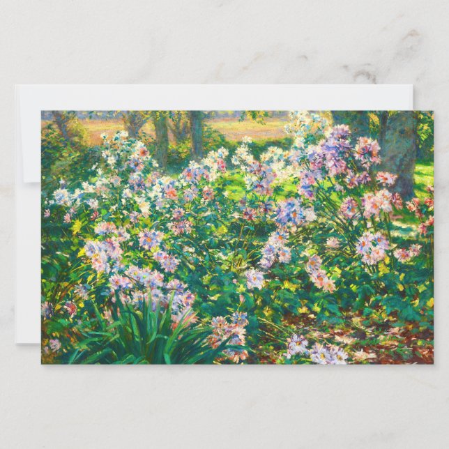 Ilustração de flores bonitas vintage Windflowers (Frente)