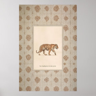 Ilustração de Poster de Tigre Animal Arte de Tigre