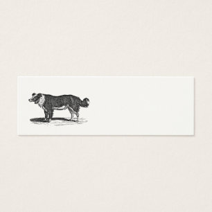 Ilustração do cão de border collie dos 1800s do