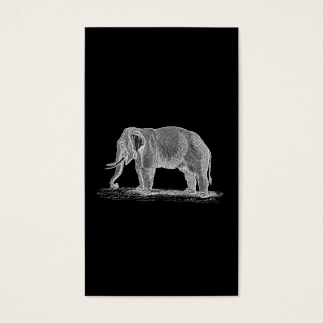 Ilustração do Elefante Branco Vintage 1800s (Frente)