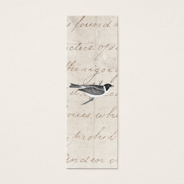 Ilustração do pássaro de música vinda - Aves do sé (Frente)