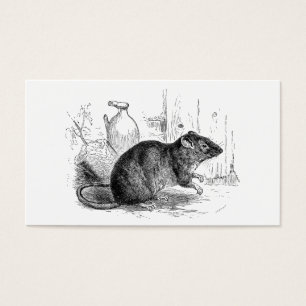 Ilustração dos ratos do rato do celeiro de Brown