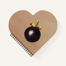 Ilustração Vintage Mangosteen