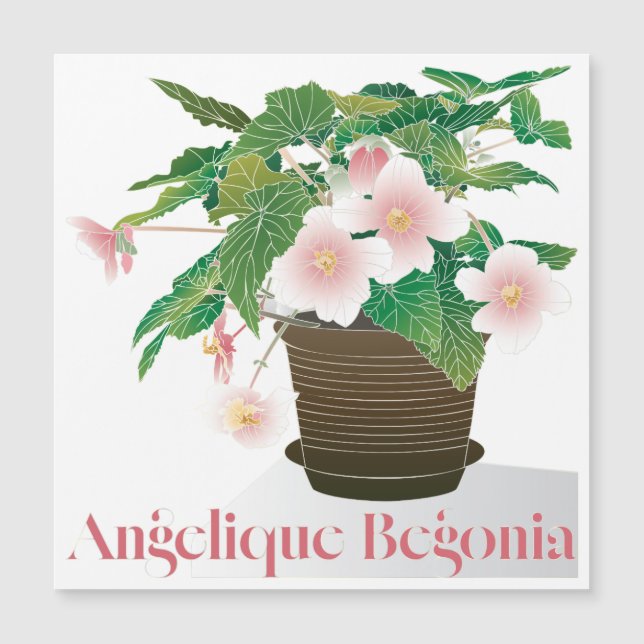 Ímã Begônia Plana (Frente)
