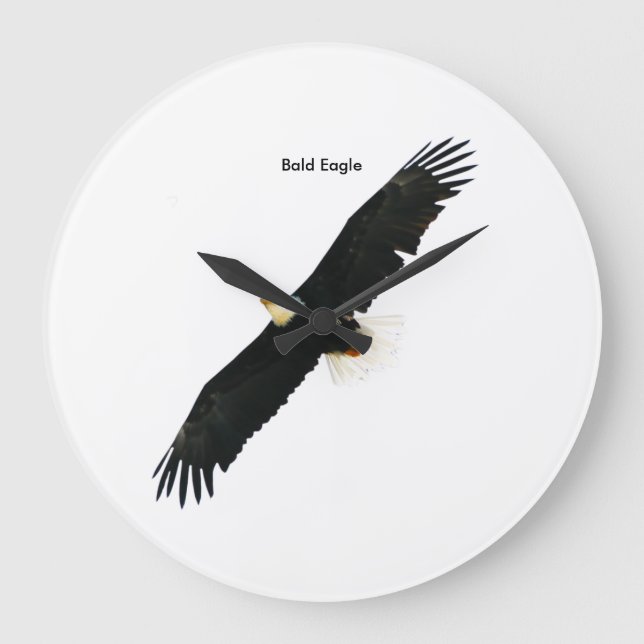 Imagem Bald Eagle para Relógio de Parede Largo-Lar (Frente)