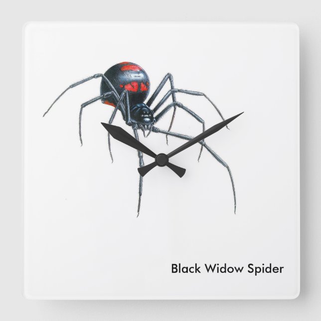 Imagem de aranha para relógio de parede quadrada (Frente)