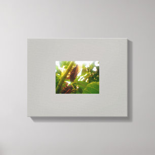 Imagem de Canvas do País de Bloqueio