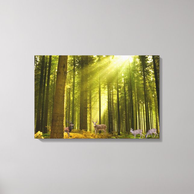 Imagem de floresta e veado para canvas embrulhada (Frente)