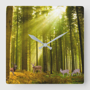 Imagem de floresta e veado para relógio de parede