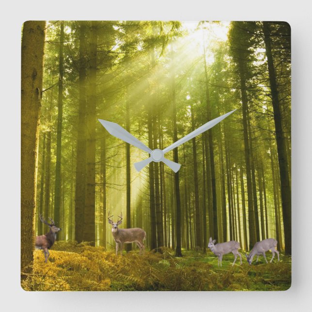 Imagem de floresta e veado para relógio de parede  (Frente)