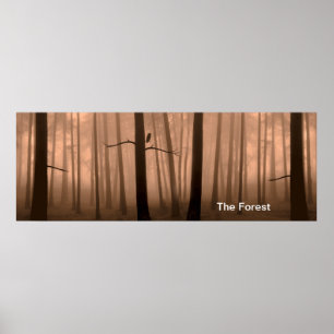 Imagem de floresta para Poster