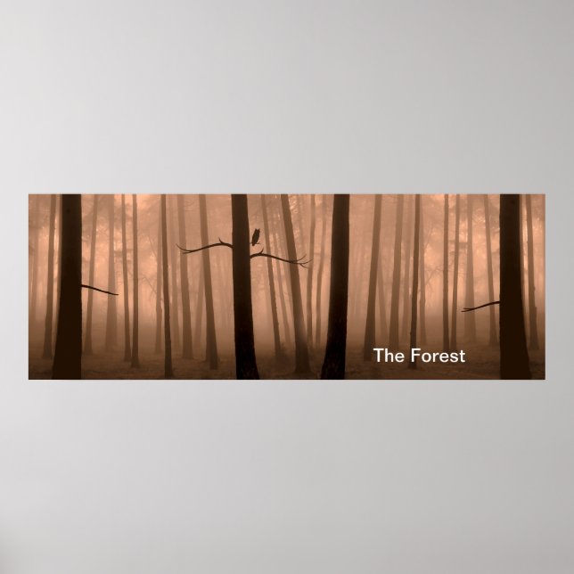 Imagem de floresta para Poster (Frente)