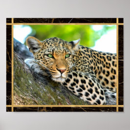 Imagem de Foto de Leopardo Impressa em Poster