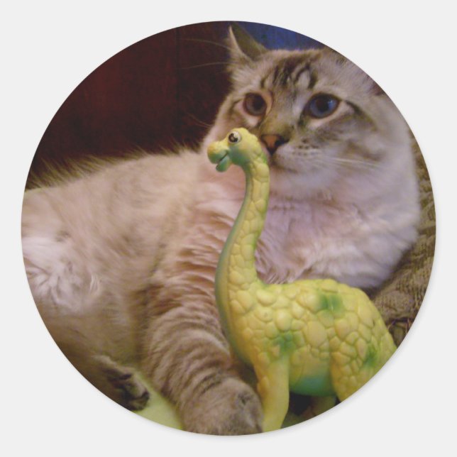 Imagem de gato e dinossauro 1 Adesivo (Frente)
