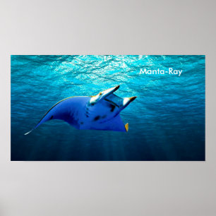 Imagem de Peixe para poster