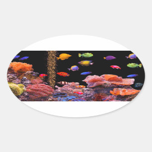 Imagem de peixes tropicais para adesivos ovais-bri