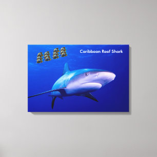 Imagem de tubarão para canvas embrulhada