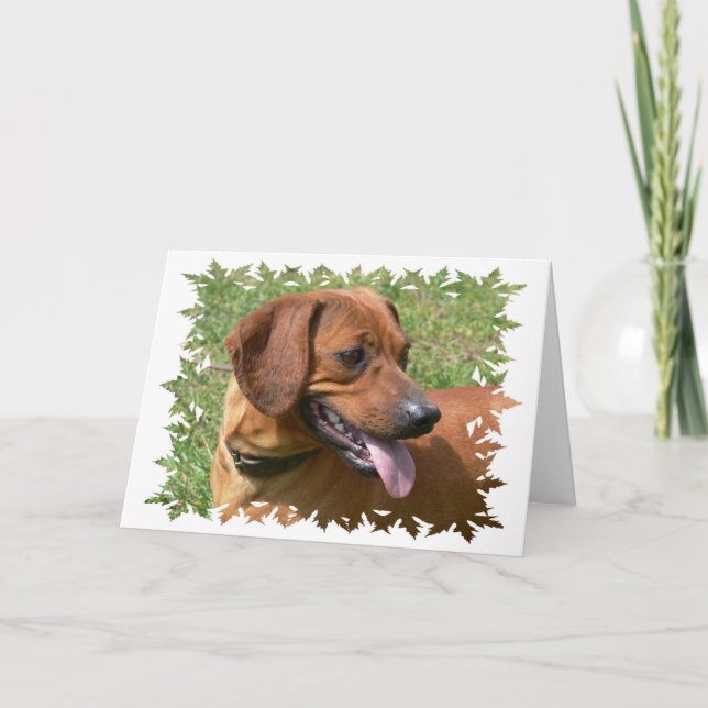 Imagem de um Cartão de Saudação de Cachorro (Frente)