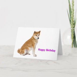 Imagem do cão para o cartão do aniversário